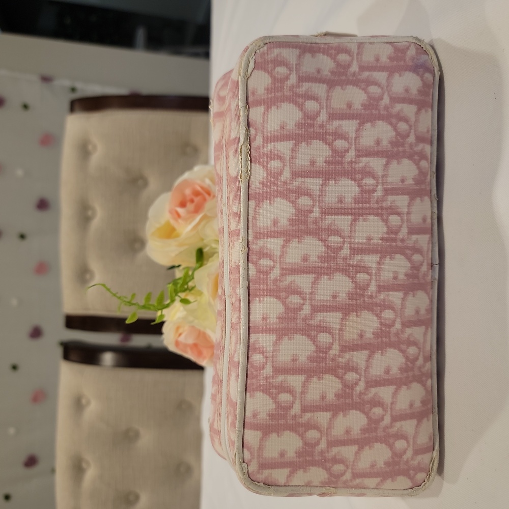 Authentic Dior Trotter Pouch - image 4